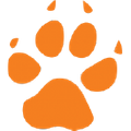 Dingo Trails Logo