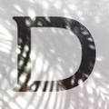 DOE & RAE Logo