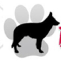 Doggie Solutions Logo
