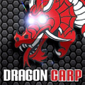 Dragon Carp Direct Logo