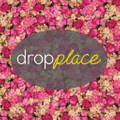 DropPlace Logo