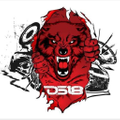 DS18 Car Audio Logo