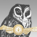 Effin Birds Logo