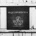 Equus Now! Logo