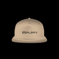 Esajian Wheel Logo