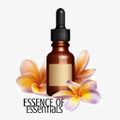 Essence Of Essentials Logo