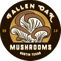 Fallen Oak Mushrooms USA Logo