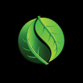 FengShuiNaturals Logo