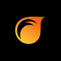 Firetoys Logo