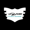 FLAIR Strips Logo