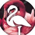 Flamingo Vape Shop Logo