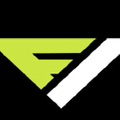 Flow Vision Logo