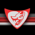 Flying Lizard Motorsports Logo