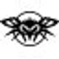 Black Flys Logo