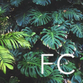 Folia Collective Logo