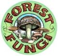 forestfungi Australia Logo