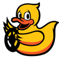 the Duckietown project store Switzerland Logo