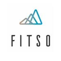 Fitso logo