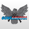 Gunsamerica Logo