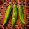 The Hatch Chile Store Logo