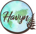 Havyn Internationa logo