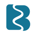 Britzgo Logo