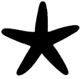 Hidden Starfish Logo