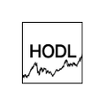 HODL.boutique Logo