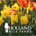 Holland Bulb Farms Logo