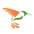 Hummingbird Networks Logo