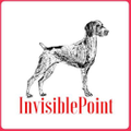 InvisiblePoint logo