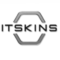 ITSKINS World USA Logo