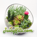 Juicykits.com Logo