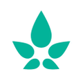 Kono Naturals Logo