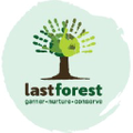 Last Forest Logo