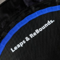 Leaps&Rebounds Logo