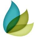 Legacy Tree Genealogists Logo