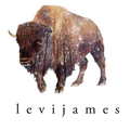 Levi James USA Logo