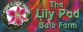 The Lily Pad Logo