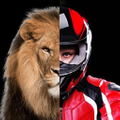Lionparts Logo