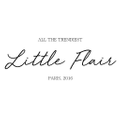 LITTLE FLAIR Logo