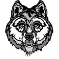 Lone Wolf Custom Gear Logo