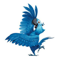 Loyal Parrot Logo
