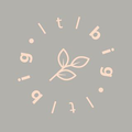 Ltl Big Logo