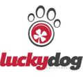 luckydogvolleyball.com Logo