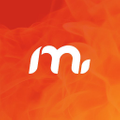 Megamaster Logo