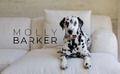 Molly Barker Logo