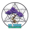 mrbonsai Logo