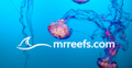 mrreefs.com Logo