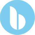 Blu Sleep Products Logo